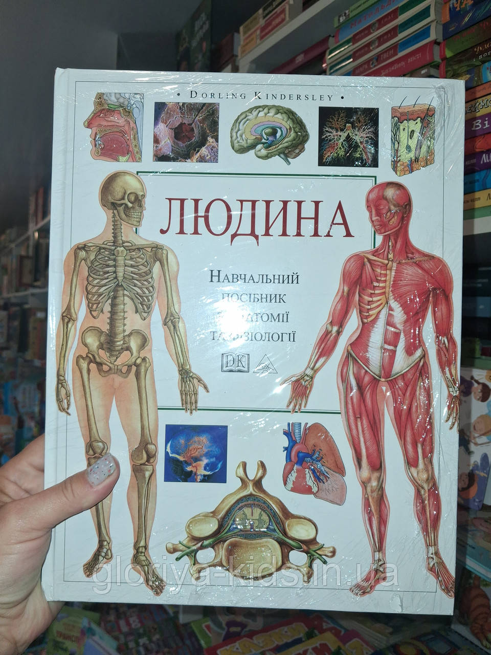 Енциклопедія Людина. Навчальний посібник з анатомії та фізіології