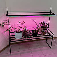 Підставка для орхідей на підвіконня металева 120*32*125(h) см двоярусна