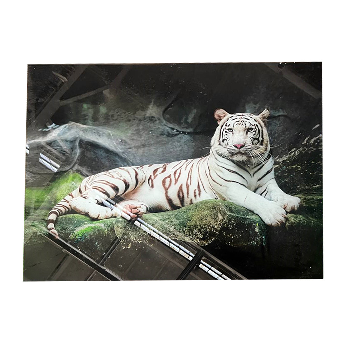 Картина на склі Тигр 100х80 см, фото 1