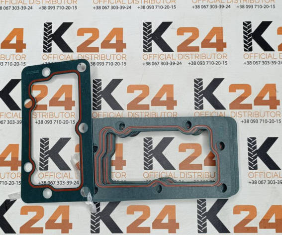 Прокладка корпусу термостата R.010024W 240100041166, фото 1