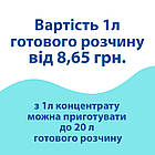 Миючий засіб Industry-3 (0.95 кг) Д, для скла та дзеркал, фото 2