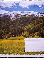 Зошит 12 аркушів лінійка картонна обкладинка червоні поля офсет Бриск в асортименті TB12LIN