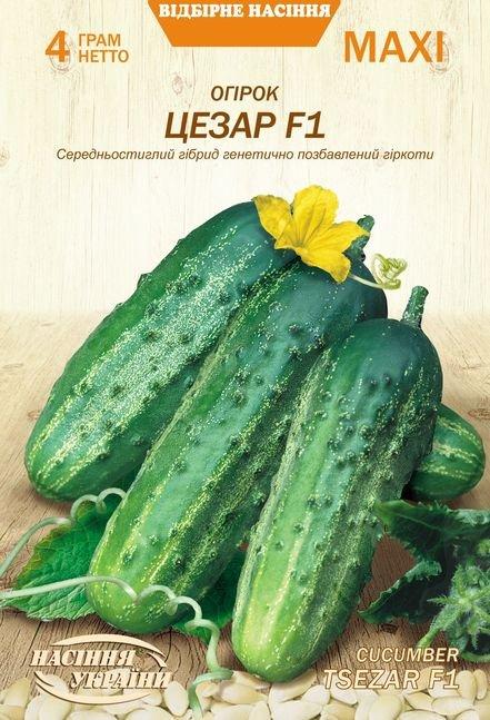 Огірок Цезар F1 4г МАКСІ НУ, фото 1