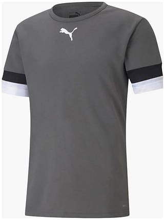 Футболка Puma teamRISE Jersey, фото 1