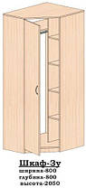 Шафа кутова 3У 800х800 h-2050мм    Алекса-СМ, фото 4