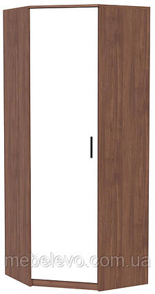 Шафа кутова 3У 800х800 h-2050мм    Алекса-СМ, фото 1