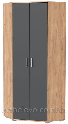 Шафа кутова  ШКУ-14 800х800 h-2050мм    Алекса-СМ, фото 1