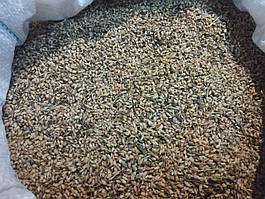 Уцхо-сунелі (Грузія)