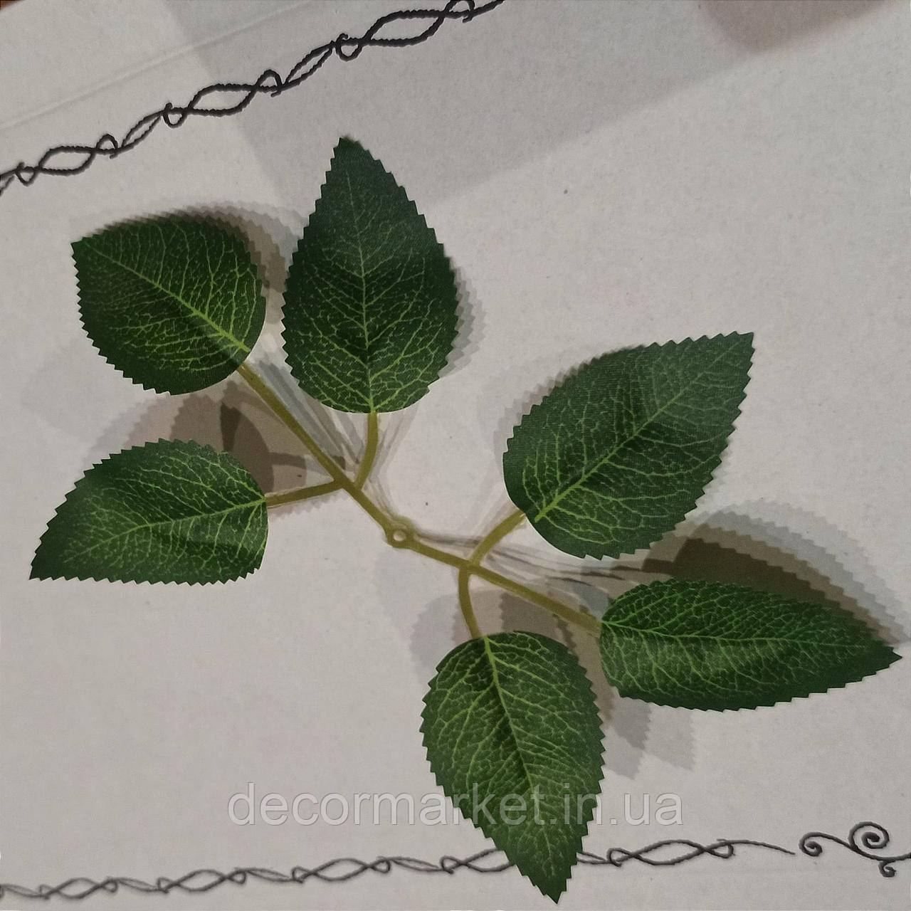 Листики розы додатки к букетам 19х9см, фото 1