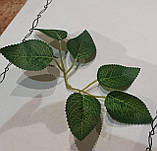 Листики розы додатки к букетам 19х9см, фото 2