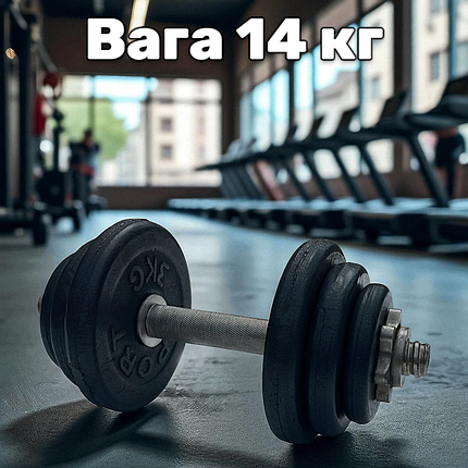 Гантель металева розбірна з покриттям розбірна гантель для тренувань гантель для дому GoodLift 14 кг, фото 1