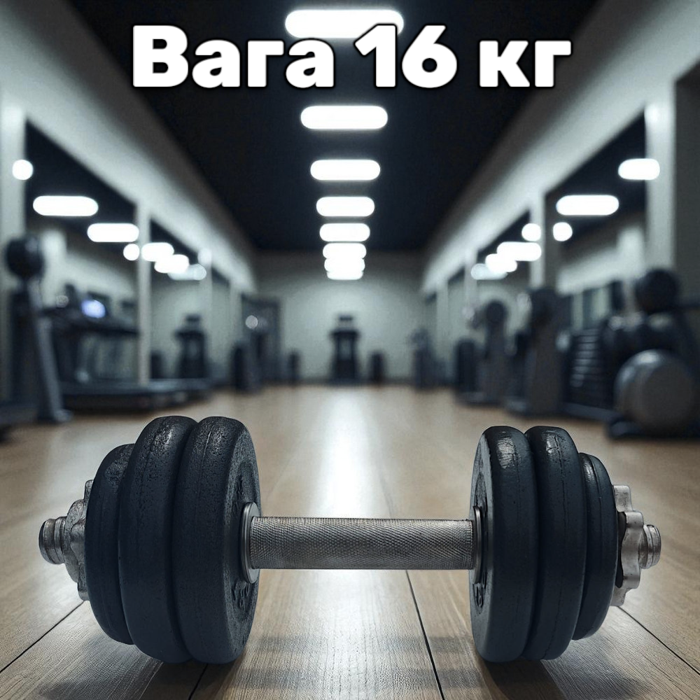 Гантель металева розбірна з покриттям розбірна гантель для тренувань гантель для дому GoodLift 16 кг