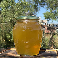 0,7 л (0,95 кг) Мед з Липи 2025 р