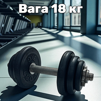 Гантель металева розбірна з покриттям розбірна гантель для тренувань гантель для дому GoodLift 18 кг, фото 1