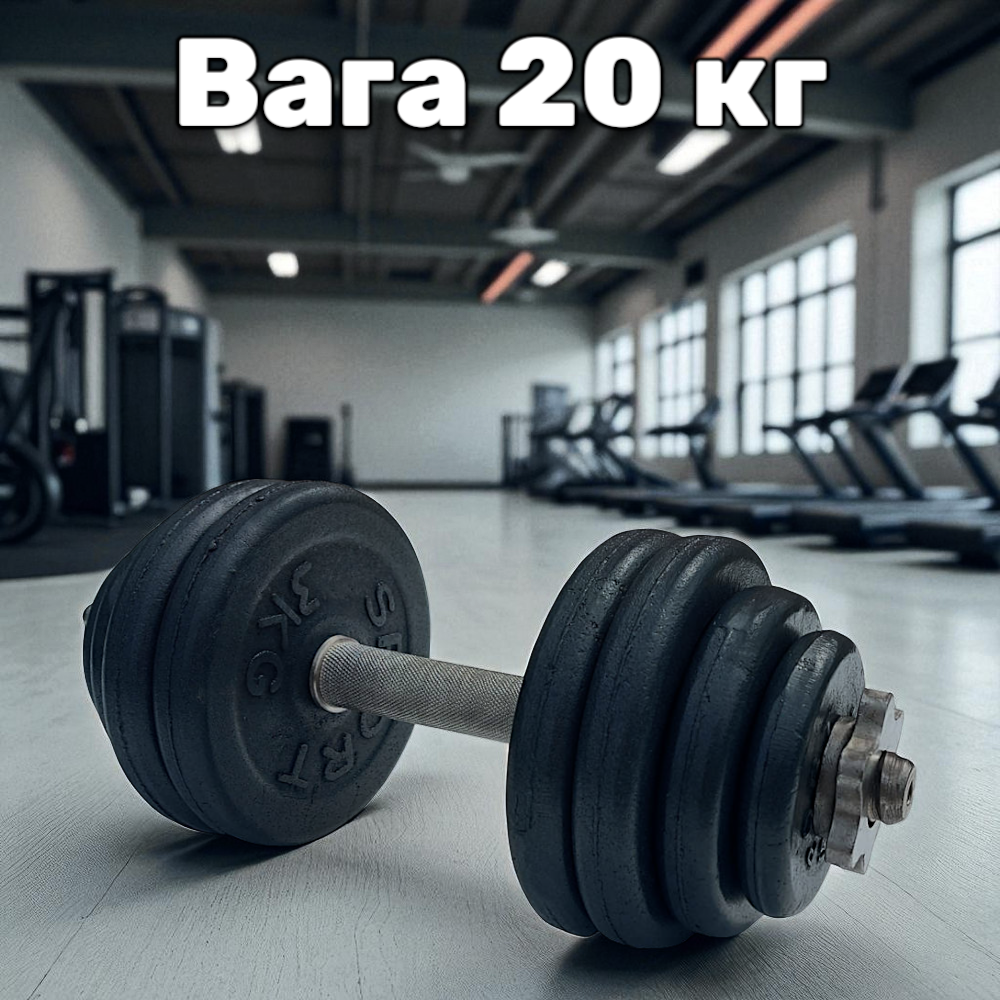 Гантель металева розбірна з покриттям розбірна гантель для тренувань гантель для дому GoodLift 20 кг