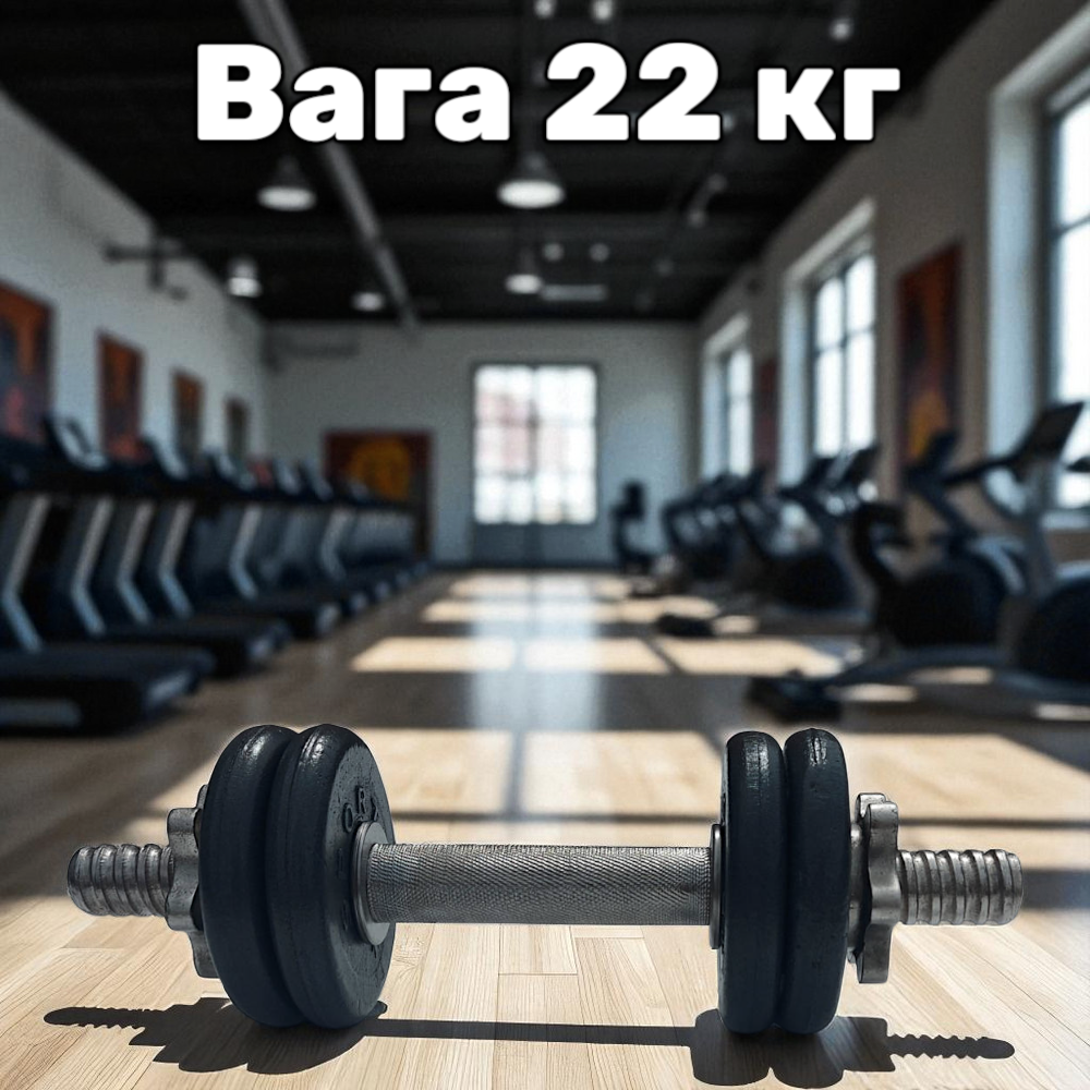 Гантель металева розбірна з покриттям розбірна гантель для тренувань гантель для дому GoodLift 22 кг