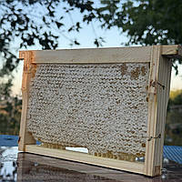 Рамка Стільники (соти) меду Липи 210*145 мм