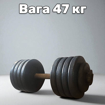 Гантель металева розбірна з покриттям розбірна гантель для тренувань гантель для дому GoodLift 47 кг, фото 1
