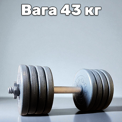 Гантель металева розбірна з покриттям розбірна гантель для тренувань гантель для дому GoodLift 43 кг, фото 1