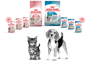 Додатковий сухий корм для кошенят та цуценят!