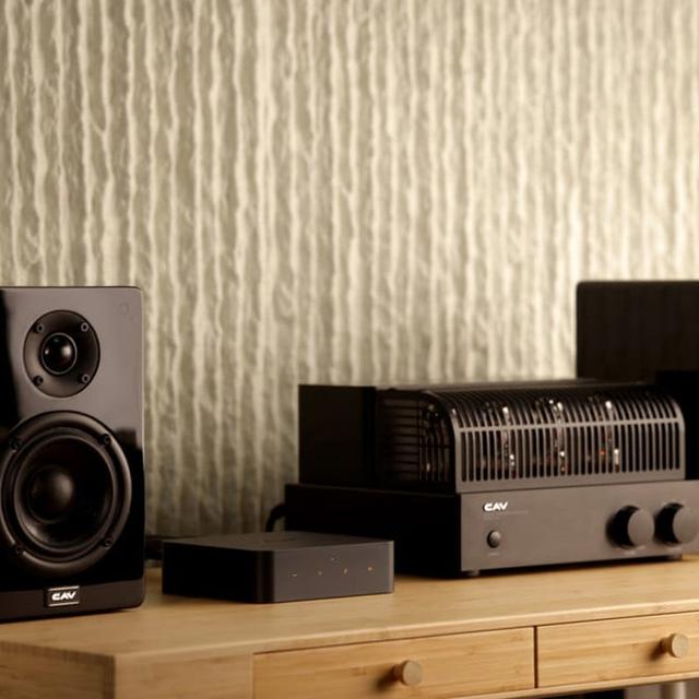 WiiM Pro Plus - Сетевой проигрыватель в интернет-магазине 