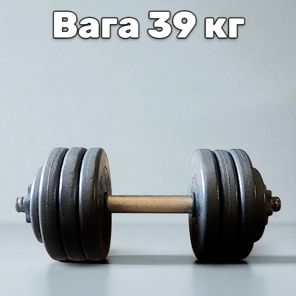 Гантель металева розбірна з покриттям розбірна гантель для тренувань гантель для дому GoodLift 39 кг