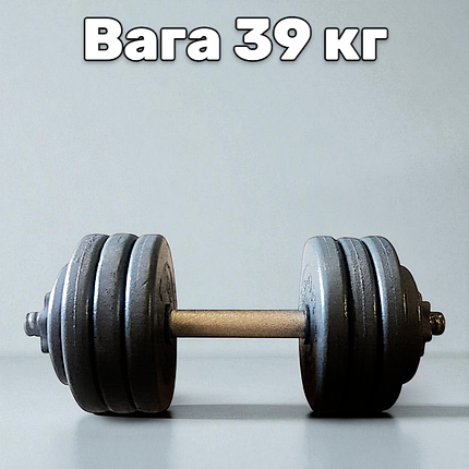 Гантель металева розбірна з покриттям розбірна гантель для тренувань гантель для дому GoodLift 39 кг, фото 1