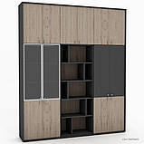 Офісні шафи і стелаж Promo 29-34, фото 3