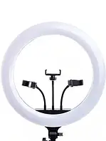 Кільцева лампа для фото та відео з тримачем для телефону RL-21 54 см