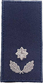 ПОГОНИ ДСНС