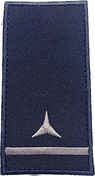 Погон Майстер-сержант ДСНС ( на липучці)