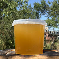 1 л Мед Липовий 2025 р