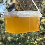 0,5 л Мед Липовий 2025 р, фото 2