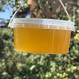 0,5 л Мед Липовий 2025 р, фото 4