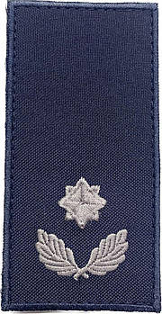 Погон Майор ДСНС ( на липучці)