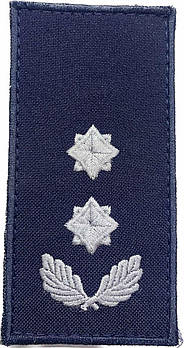 Погон Підполковник ДСНС ( на липучці)