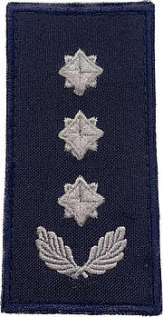 Погон Полковник ДСНС ( на липучці)