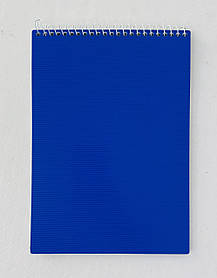 Блокнот На спіралі А5 48 л клітка, пластикова обл. Синій (Е20231-02) Economix