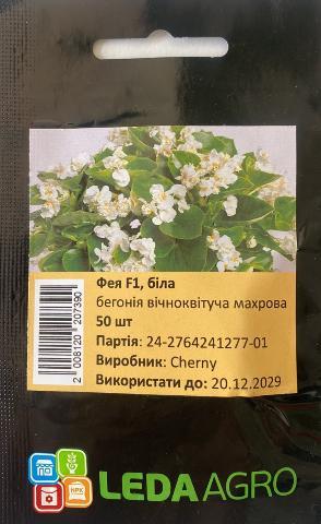 Бегонія Фея F1, біла 50 шт (Leda Agro), фото 1