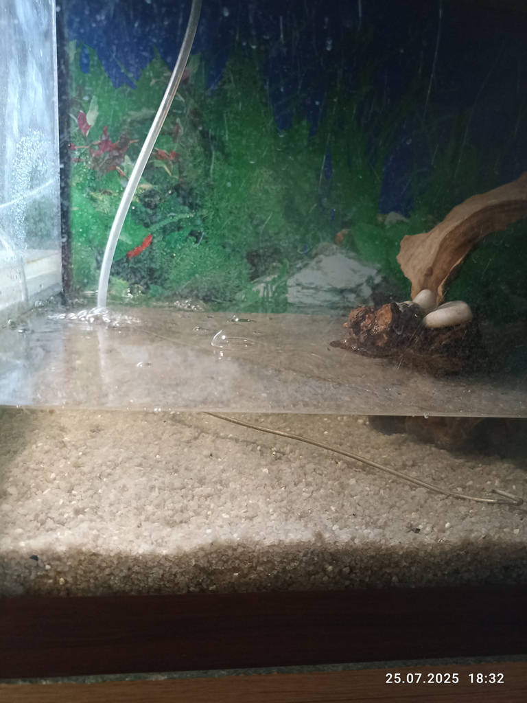 Пісок кварцовий фр. 2,0-5,0мм (мішок 25кг), EUROMINERAL Ukraine (НАЙВИЩА ЯКІСТЬ!!!) - фото покупателей 1