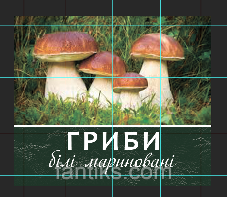 Комплект наклейок "Гриби білі" - 24 шт., фото 1
