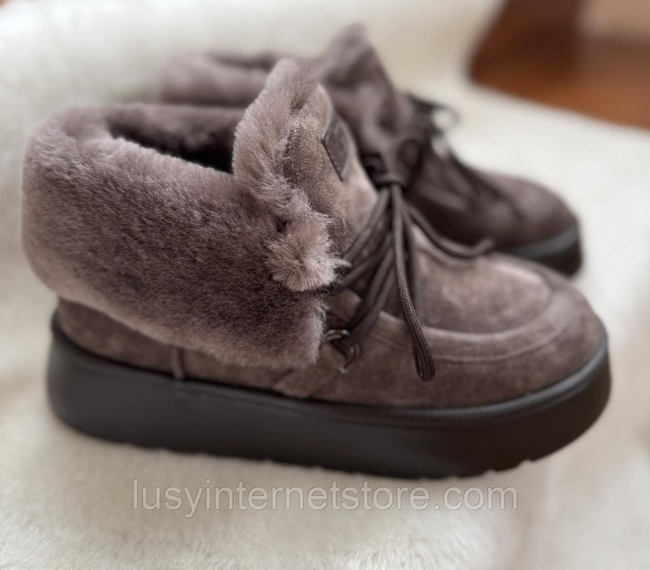 Черевики жіночі замшеві від виробника модель КЛ25-204-2, фото 1