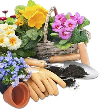 Дача, сад, город ★