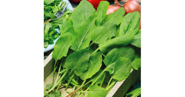 Щавель Бельвільський 50г SEMO, фото 1