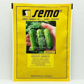 Огірок Івонна F1 100нас SEMO