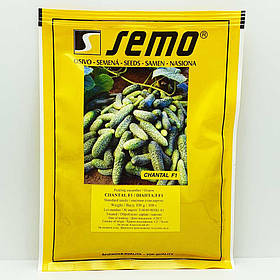 Огірок Шанталь F1 100нас SEMO