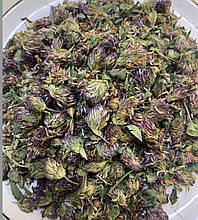 Конюшина квіти 100 гр 2025 рік