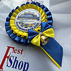 Значок  Інтелект України Першокласник 2025, фото 2