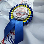 Значок Першокласник 2025, фото 3