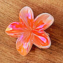 Краби для волосся пластикові оптом 3,5*3,5 см 12 шт/уп  ГАВАЙСЬКА КВІТКА ПЕРЛАМУТРОВА, фото 2